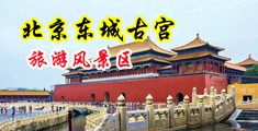 操美女的视频网站中国北京-东城古宫旅游风景区